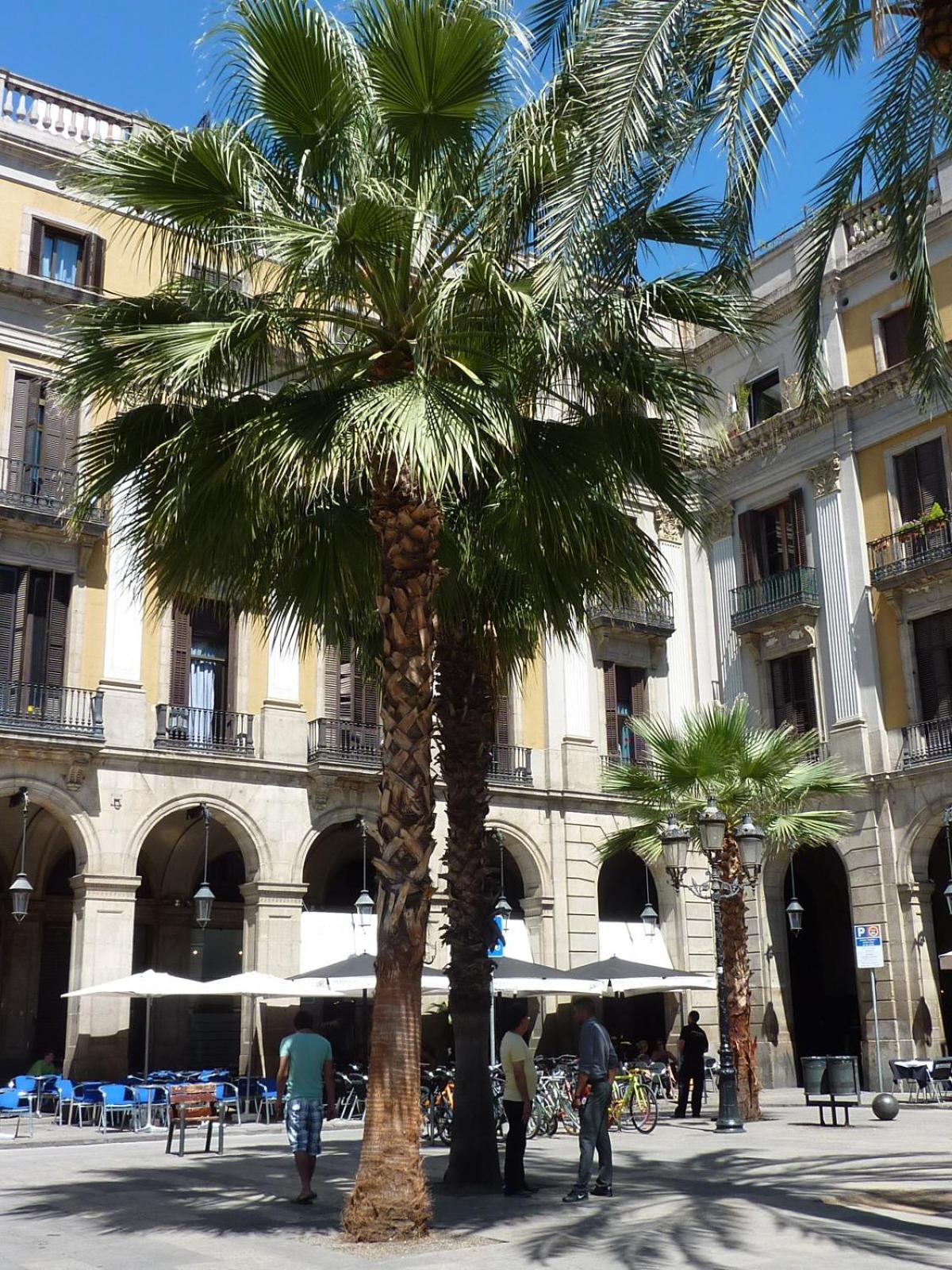 Hotell Roma Reial *